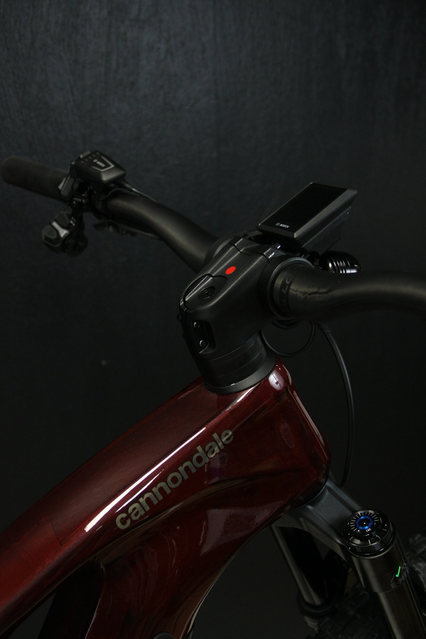 Cannondale Moterra Neo LAB71