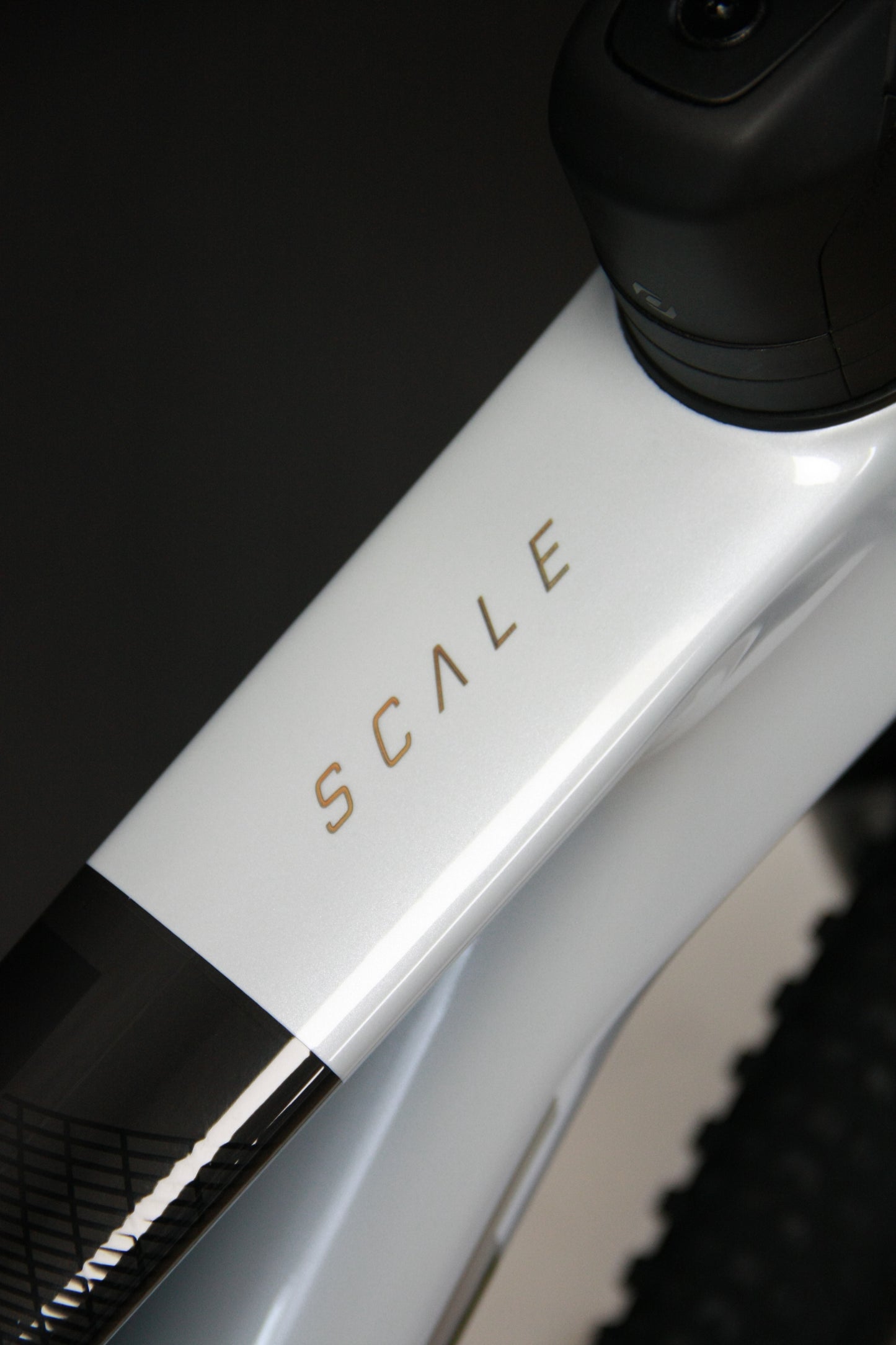 Scott Scale RC Team Issue