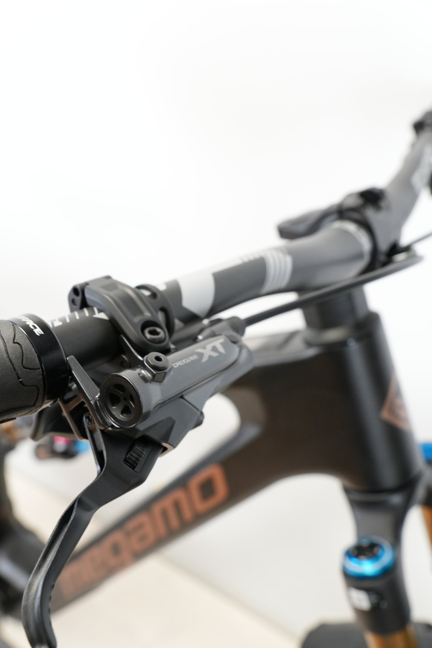 Megamo Reason Carbon 03